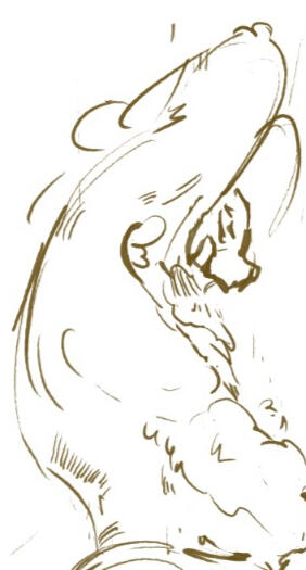 sketches